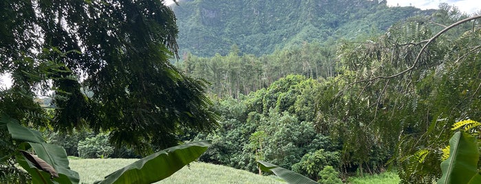 Belvedere Lookout is one of Tempat yang Disukai Dave.