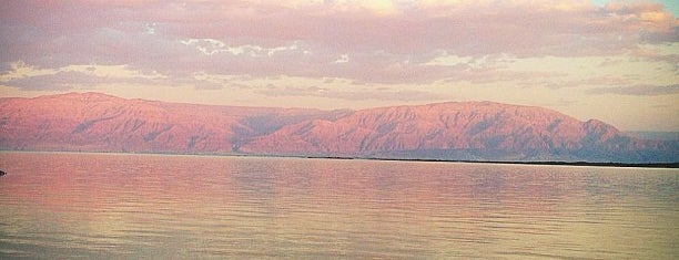 Dead Sea Beach is one of Lugares favoritos de Andrew.
