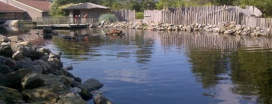Aqua Zoo is one of Tempat yang Disukai Sven.