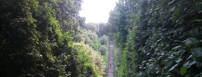 Boboli-Garten is one of Orte, die Salvatore gefallen.