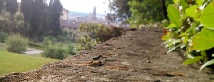 boboli view is one of Lugares favoritos de Salvatore.