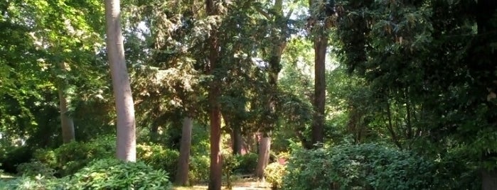 Giardini di Papadopoli is one of Tempat yang Disukai Salvatore.
