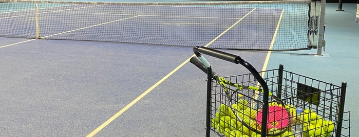 Net Tennis Academy is one of Riyadh.