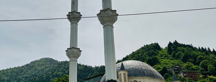 Taşkıran is one of Trabzon.