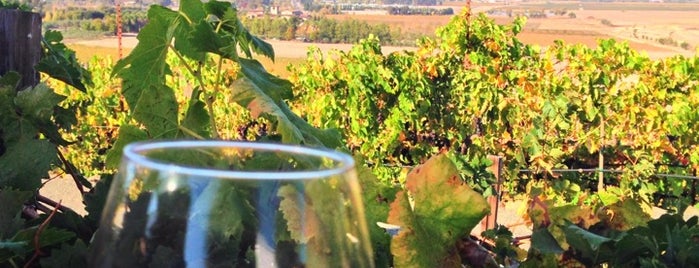 Viansa Winery is one of Napa.