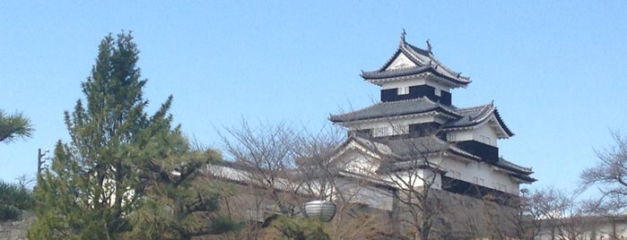 Komine Castle is one of 日本100名城.
