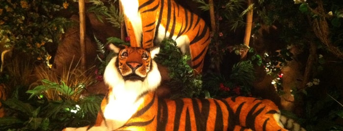 Rainforest Cafe is one of Nashville To-do's.