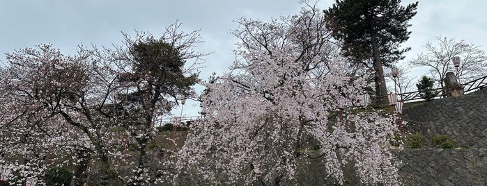 Maruoka Castle is one of 日本の日本一･世界一あれこれ.