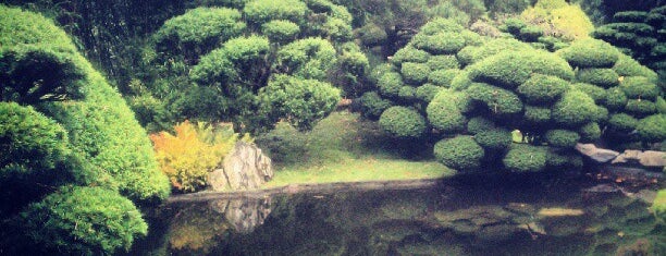Japanese Tea Garden is one of Visitors.