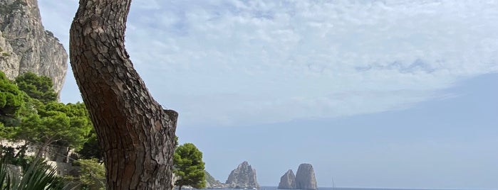 Marina Piccola di Capri is one of Italia!.