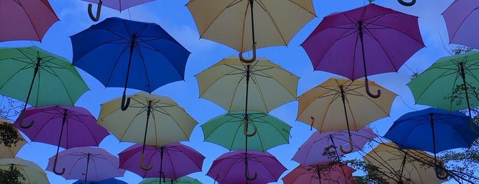 Umbrella Sky is one of Miami.