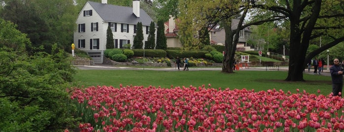 Commissioners Park is one of No town like O-Town: The Glebe.