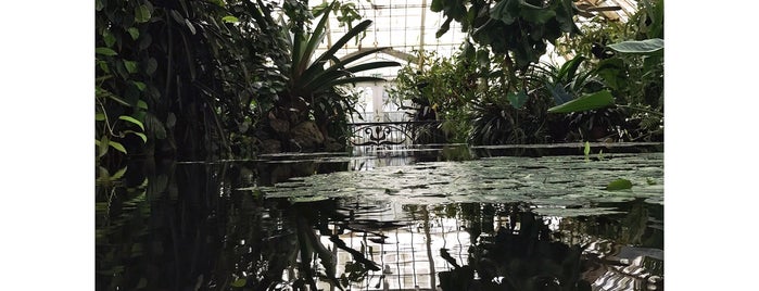 Conservatory of Flowers is one of Lugares favoritos de Ashley.