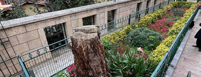 Uzun Evliya Camii ve Türbesi is one of İstanbul 7.