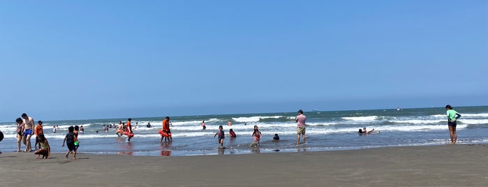 Playa Vicente Fox is one of Fin de año2017.