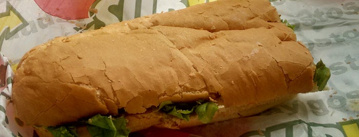 Subway is one of locais visitados.