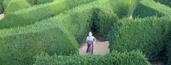 The Malborough Maze is one of LABYRINTH TOUR ENGLAND.