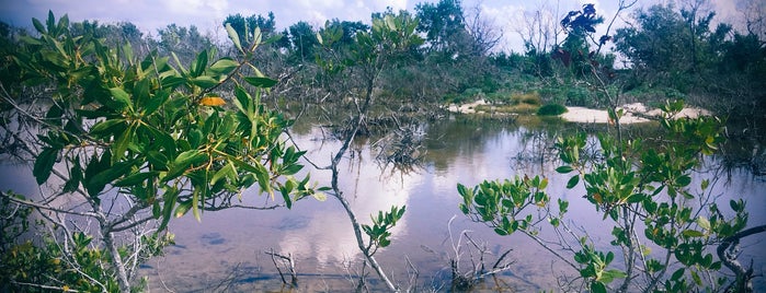 Key Deer Habitat is one of South Florida.