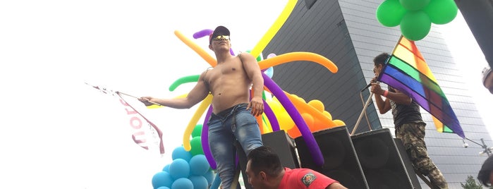 Mexico's City Pride is one of Go Man Go Gay Mexico City.