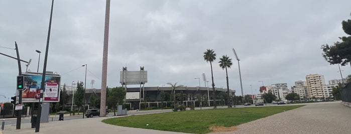 Complexe Mohammed V is one of Casablanca.