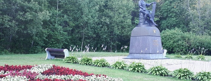 Памятник Петру Первому is one of Lieux qui ont plu à scorn.