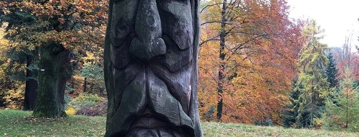 Arboretum Bukovina is one of Orte, die Lucie gefallen.