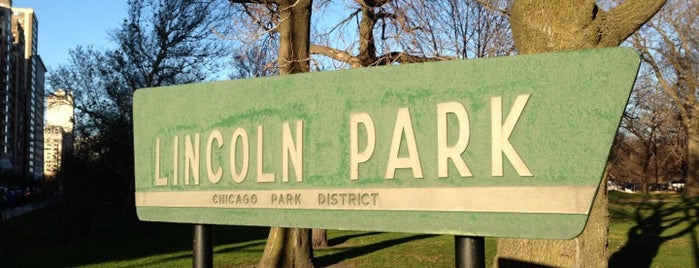 Lincoln Park is one of 100 days of summer 💛☀️⭐️.
