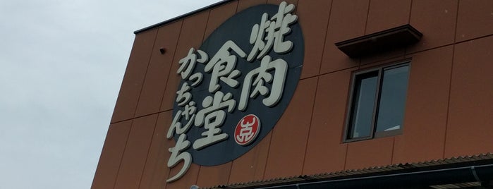 焼肉食堂かっちゃんち is one of great surprise.