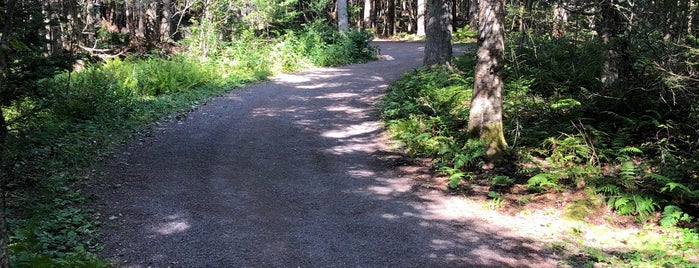 Fundy National Park is one of New Brunswick.