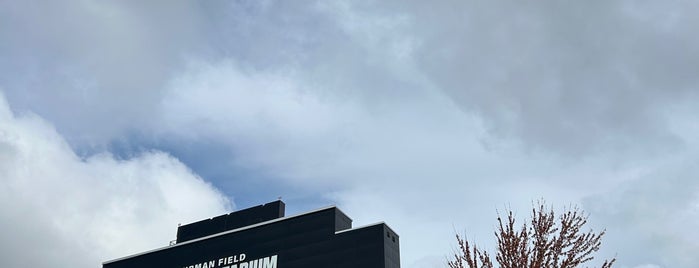 Ross-Ade Stadium is one of College Football Stadiums.