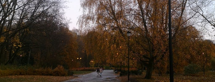 Prieskoniu sodelis at Bernardinu sodas is one of Ruslan : понравившиеся места.