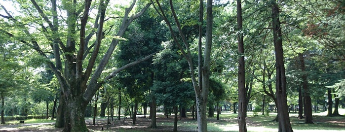 Fuchunomori Park is one of 優れた風景・施設.