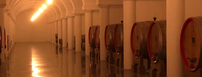 Cantina Tabarrini is one of Le Cantine dell'Umbria.