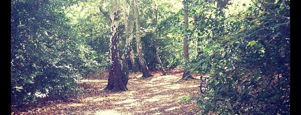 Frimley Lodge Park is one of Favorite Great Outdoors.