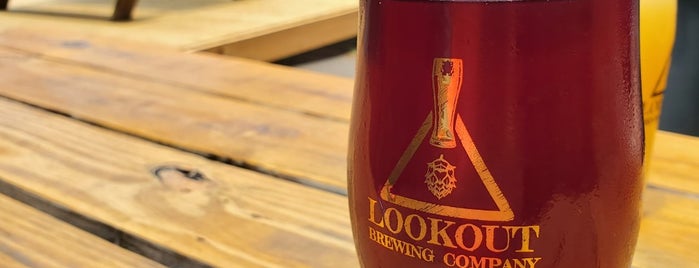 Lookout Brewing Company is one of Breweries or Bust 4.
