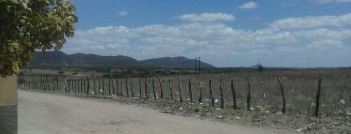 Palestina is one of Cidades de Alagoas.