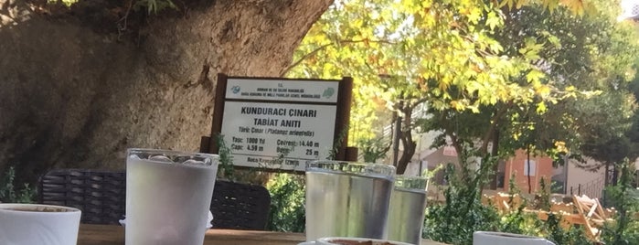 Bu Çınar Cafe is one of Lieux qui ont plu à İlker.