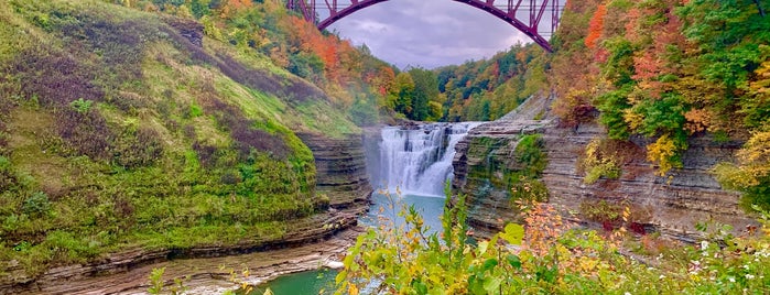 Letchworth Upper Falls is one of Orte, die MSZWNY gefallen.