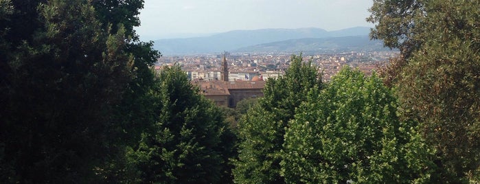 Forte di Belvedere is one of Posti che sono piaciuti a Gyozo.