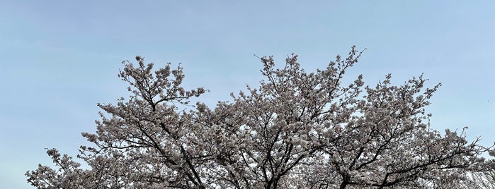 境川PA (下り) is one of 高速道路SA and PA（東京～前橋,長野／甲府～名古屋）.