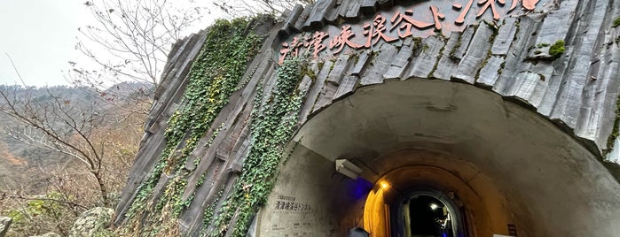 Kiyotsu Gorge Tunnel is one of Kansai.
