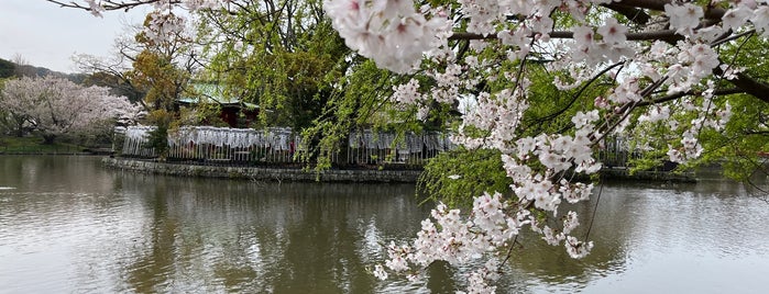 Genji Pond is one of Tempat yang Disukai ぎゅ↪︎ん 🐾🦁.