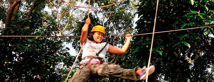 Forest Adventure (Bedok Reservoir Park) is one of Places.