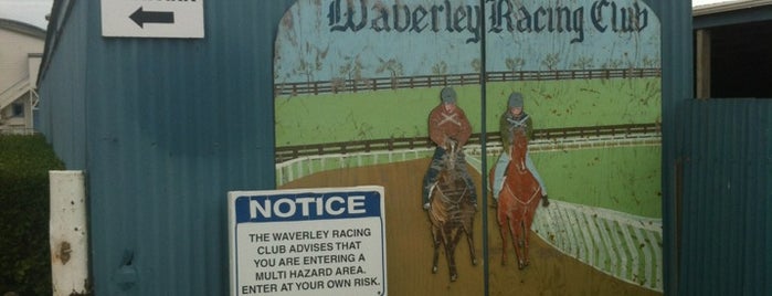 Waverley Racecourse is one of Lugares favoritos de Trevor.