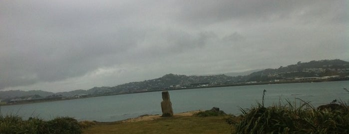 Lyall Bay Play Area is one of Trevorさんのお気に入りスポット.