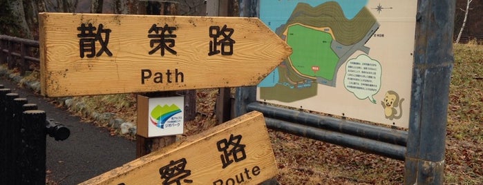 中央構造線公園 is one of 国道152号.