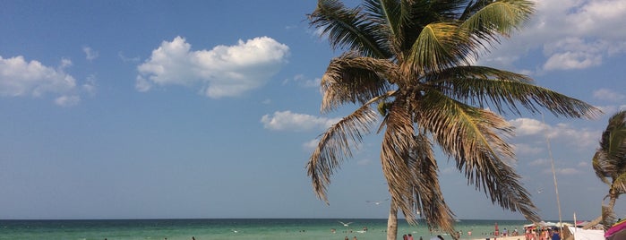 Puerto Progreso is one of Lugares favoritos de Globetrottergirls.