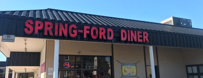 Spring-Ford Diner is one of Near Pennhurst.