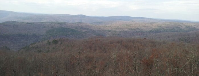 Ozark National Forest is one of United States National Forests.