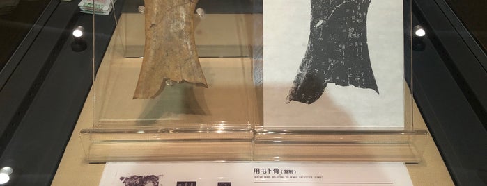 安阳中国文字博物馆 is one of Museum TODOs.